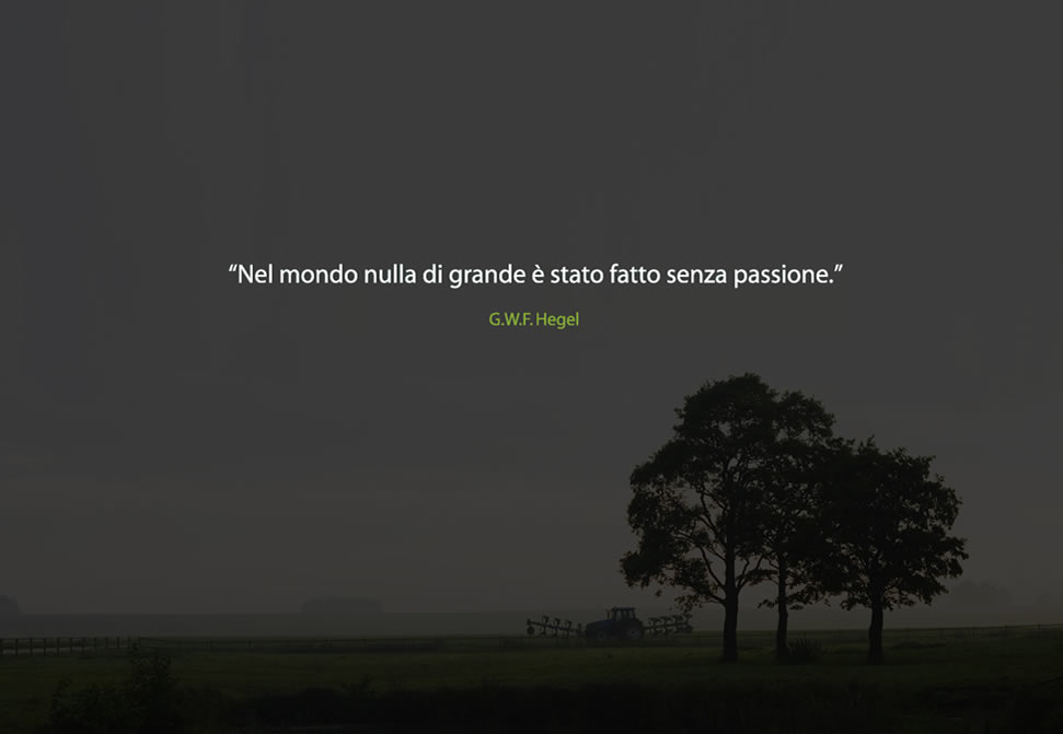 Nel mondo nulla di grande � mai stato fatto senza passione